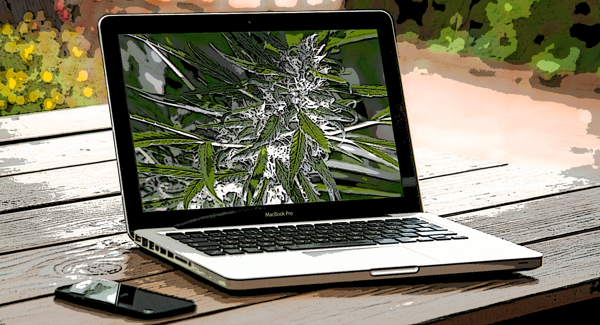 fairy godmother cannabis strain on a laptop